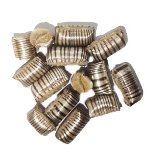 اطلسی ریز پرگاس کارتن 5 کیلوگرمی